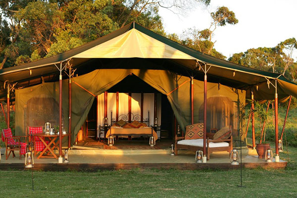 Fig Tree Camp