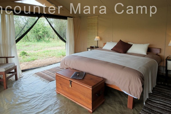Encounter Mara